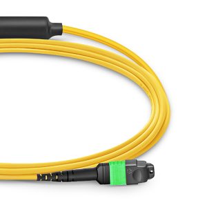 Customized MTP® Conversion Cable