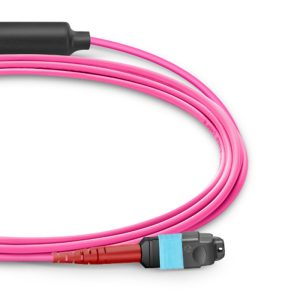 MTP® Conversion Cable