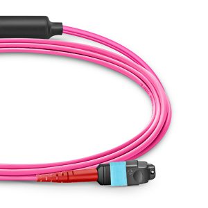MTP® Conversion Cable