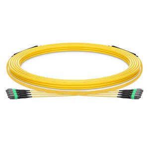 Customized MTP®-12 Trunk Cable