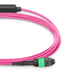MTP® Conversion Cable