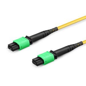 Customized MPO-12 Harness