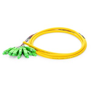 SC APC 12 Fibers OS2 Single