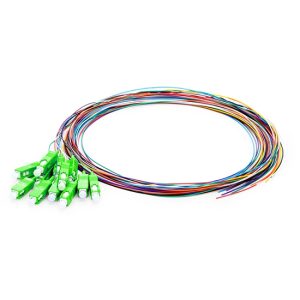 SC APC 12 Fibers OS2 Single