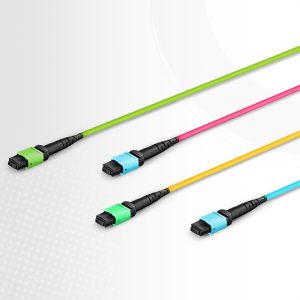 MTP® Harness